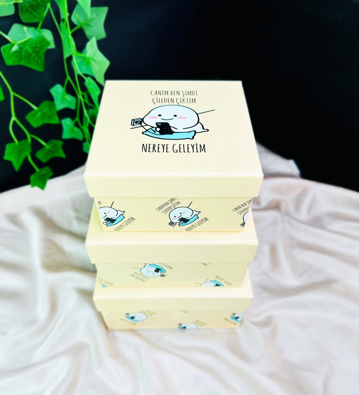 Canım Ben Çileden Çıktım Tasarımlı 3'lü KutugiftmodaGmhk10065