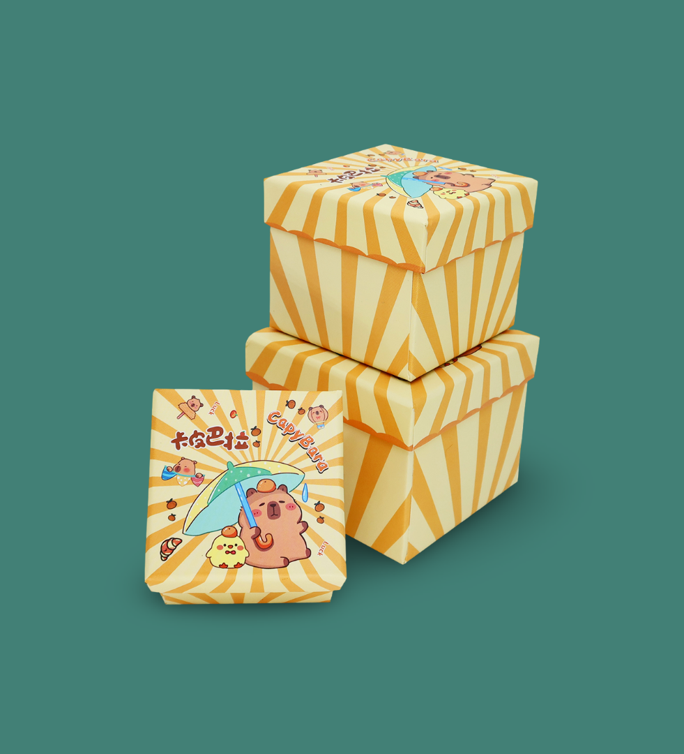 Şanslı Capybara Desenli 3'lü Hediye, Kutusu Seti | Mini Kutu SetigiftmodaBam-1323	