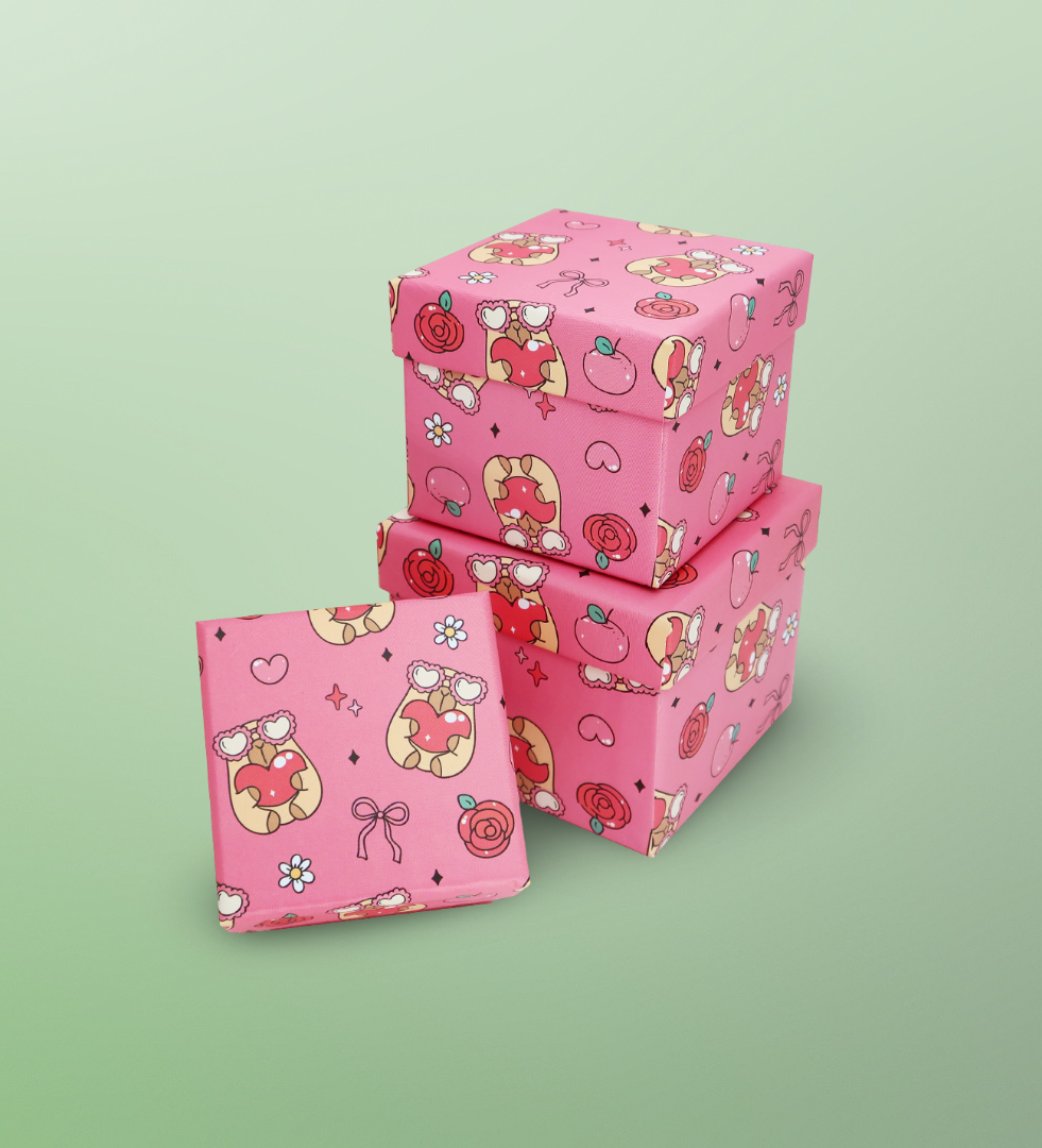 Capybara Fiyonk Desenli 3'lü Hediye, Kutusu Seti | Mini Kutu SetigiftmodaBam-1323	