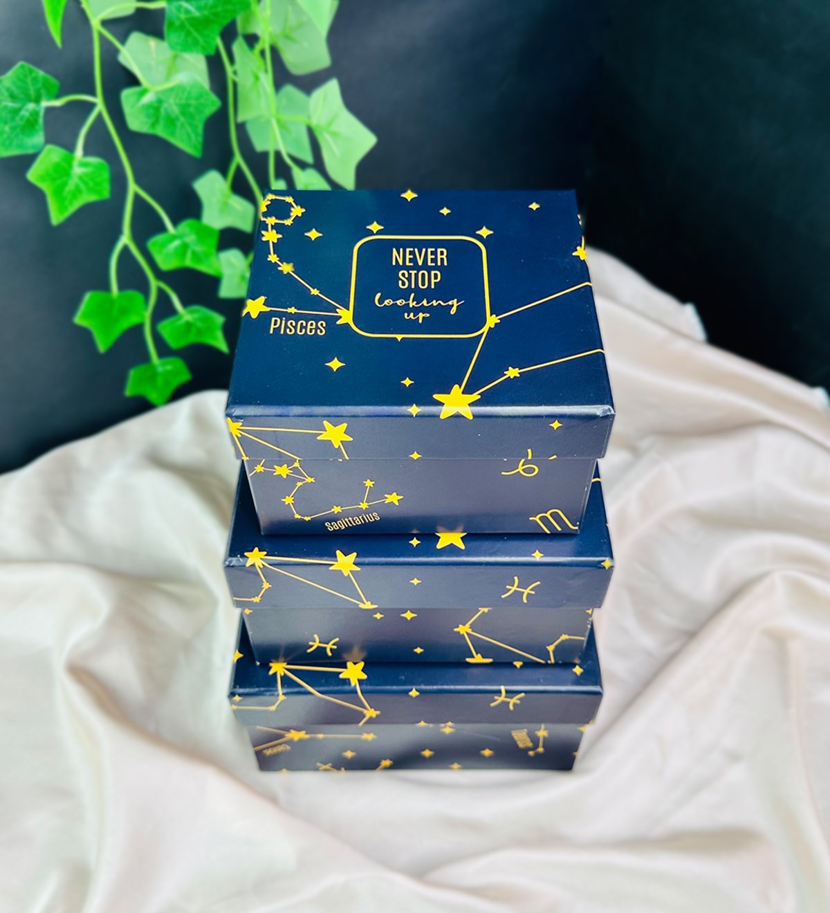 Yıldız Haritası Tasarımlı 3'lü KutugiftmodaGmhk10066	