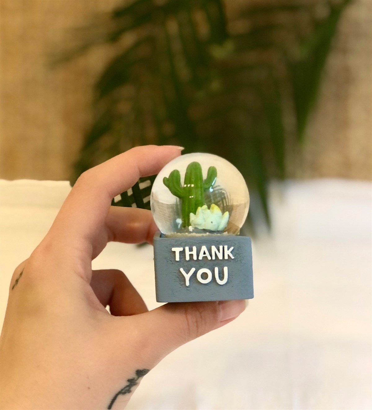 Kaktüs Mini Işıklı Kar KüresiGiftmodaGM-4108