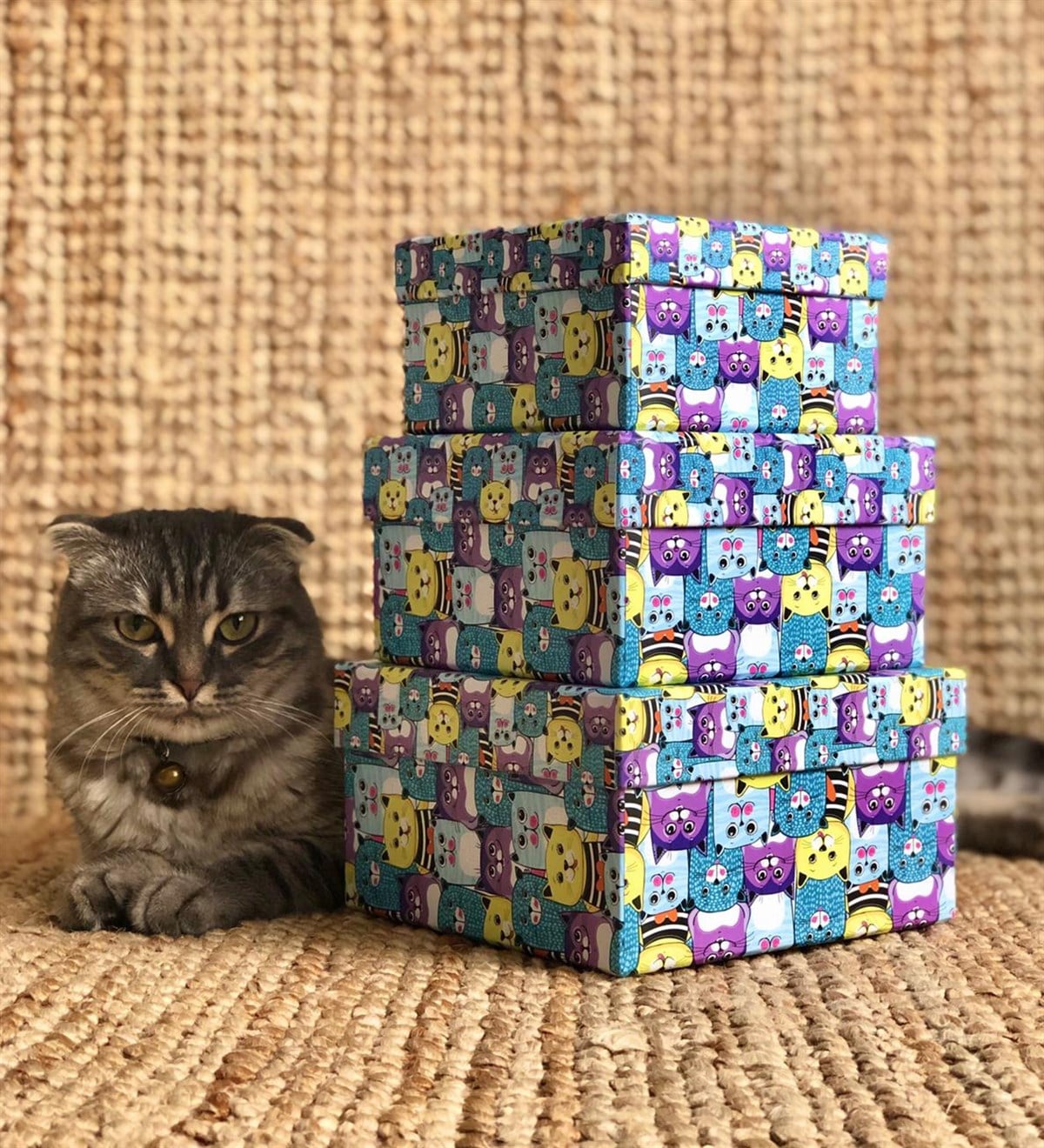 Kedi Tasarımlı 3'lü KutuGiftmodaKedi-Kutu