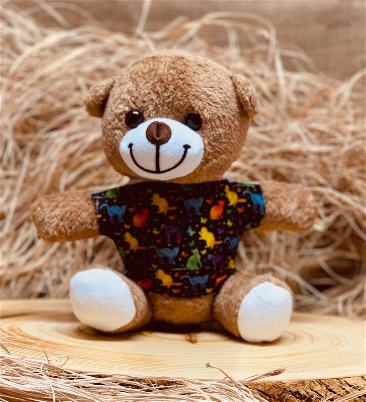 Kedi Tasarımlı Tişört Giyen Peluş Ayıcık Giftmodakedi-peluş