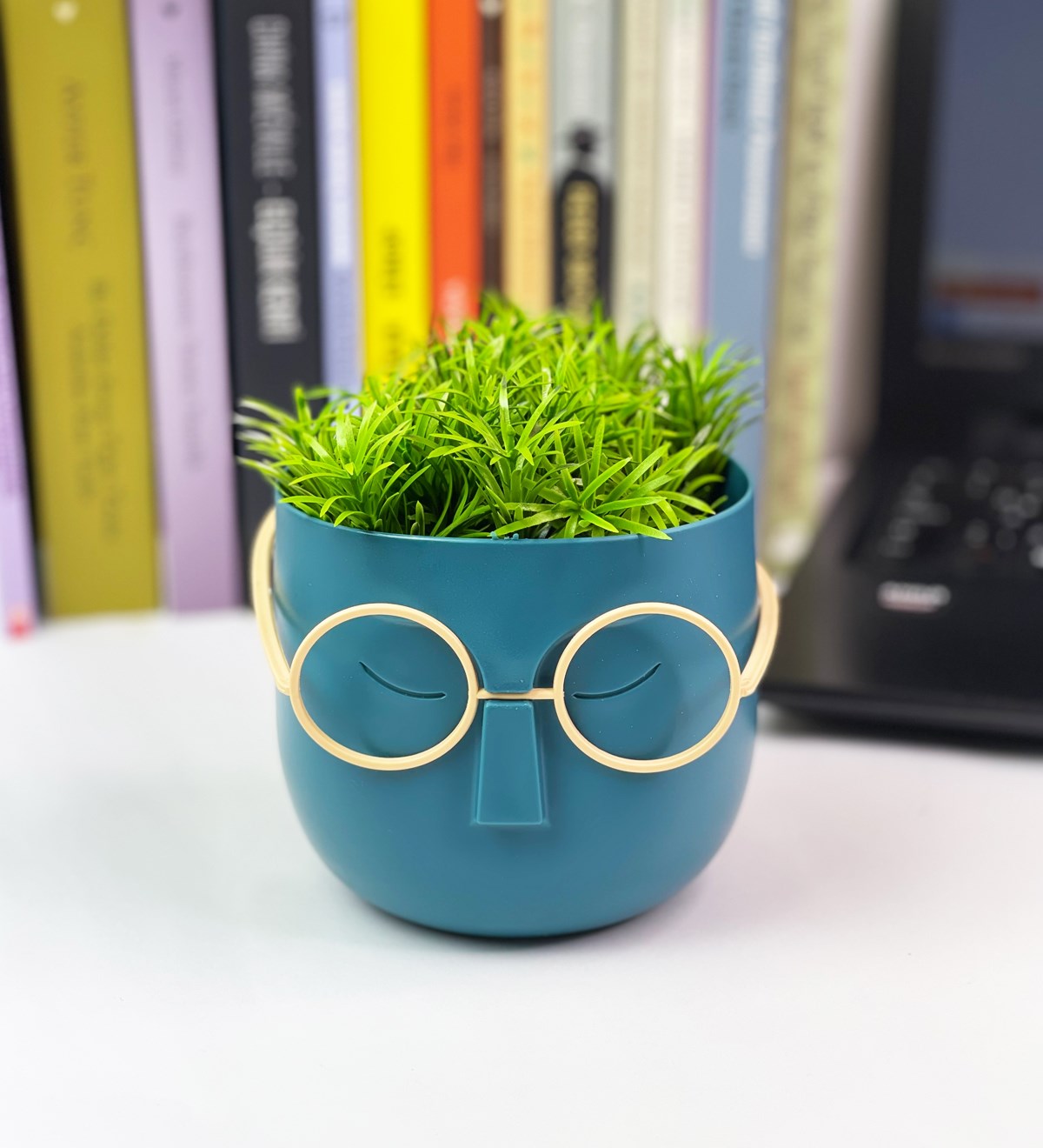 Profesör Çim Adam Tasarımlı Yapay ÇiçekgiftmodaGmc10001