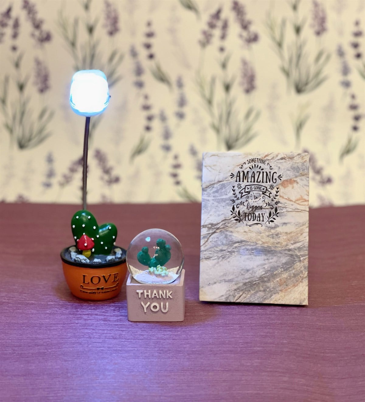  Kişiye Özel Amazing Mini Albüm Kaktüs Masa Lambası Ve Mini Kaktüs Kar Küresi Set GiftmodaGmhs100075