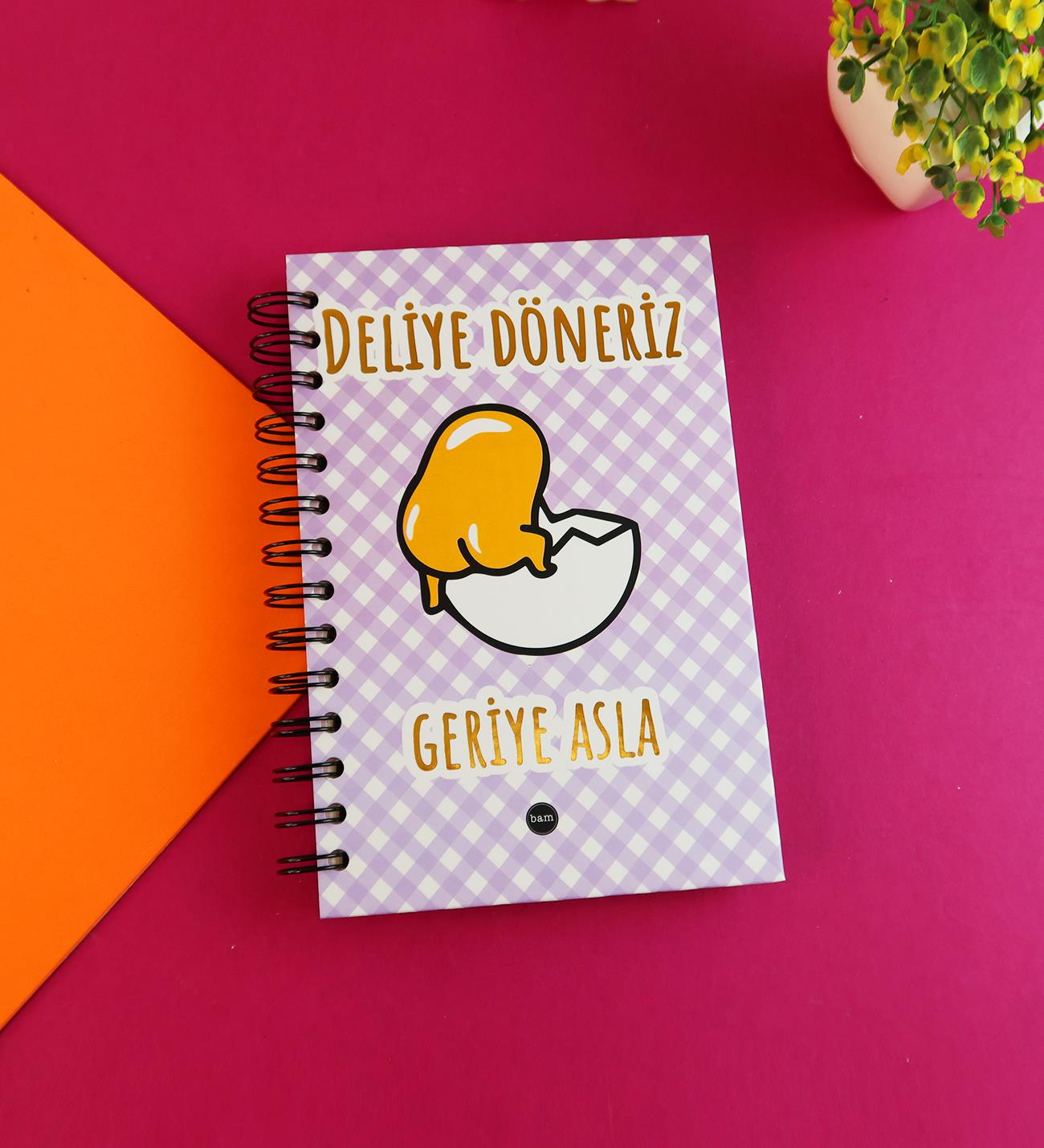 Özel Tasarım Spiralli 15*21 cm Dot Defter, Eskiz Defteri, Doodle Book - 2 SAYFA STICKER HEDİYELİ	giftmodaBam-1324-Deliye-Döneriz	