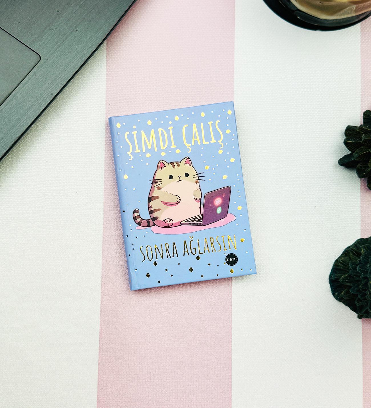 Şimdi Çalış Sonra Ağlarsın V2 Tasarımlı Sert Kapaklı Mini DeftergiftmodaBam-1228-1