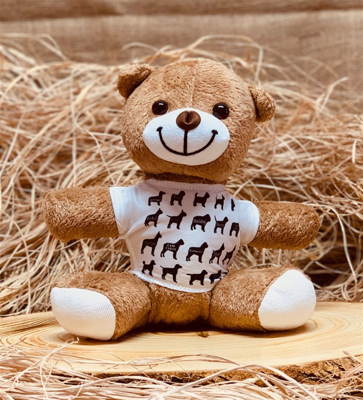 En İyi Dostum Tasarımlı Peluş Ayıcık Hediye Seti