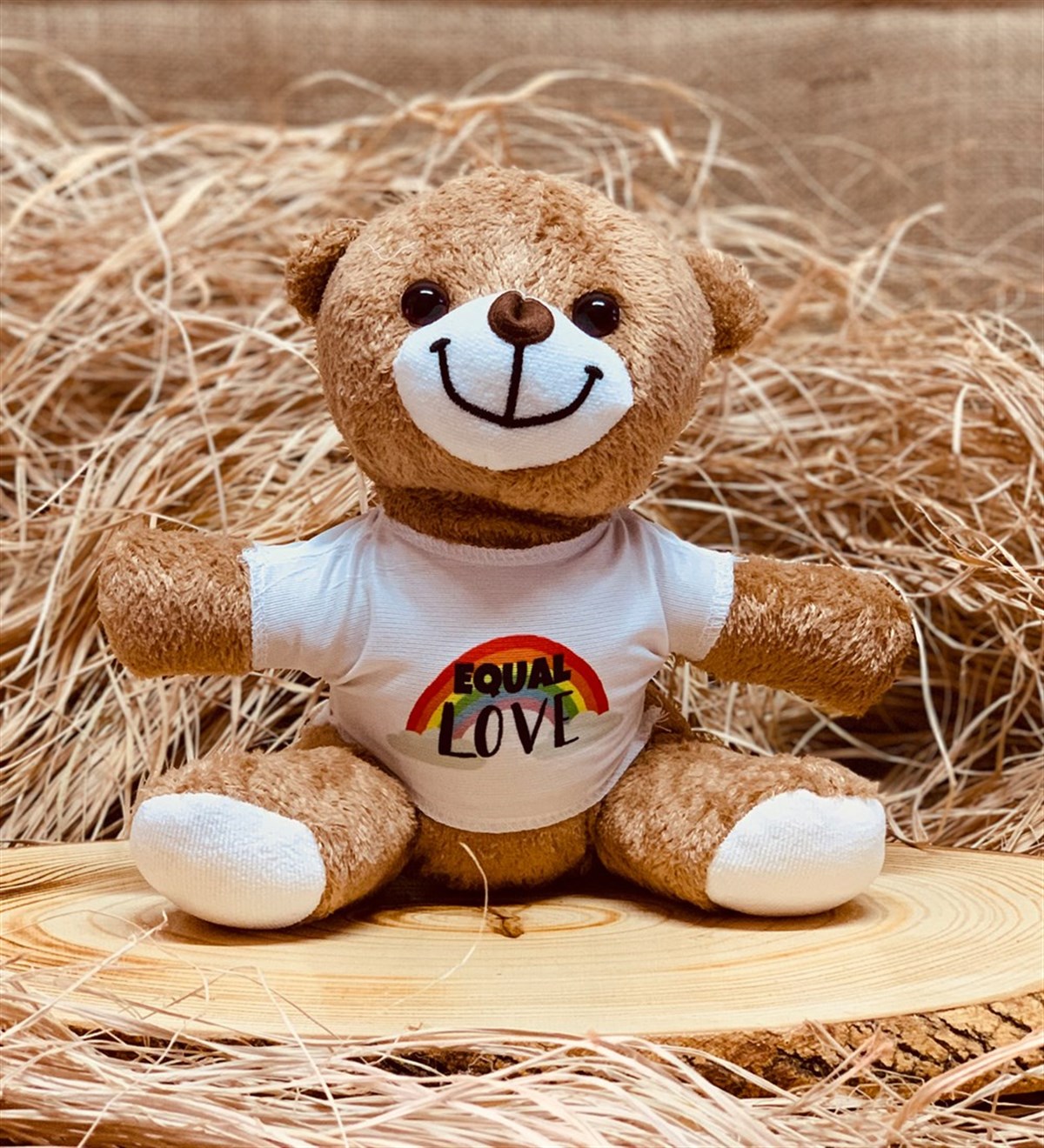 Equal Life Gökkuşağı Tasarımlı Peluş Ayı