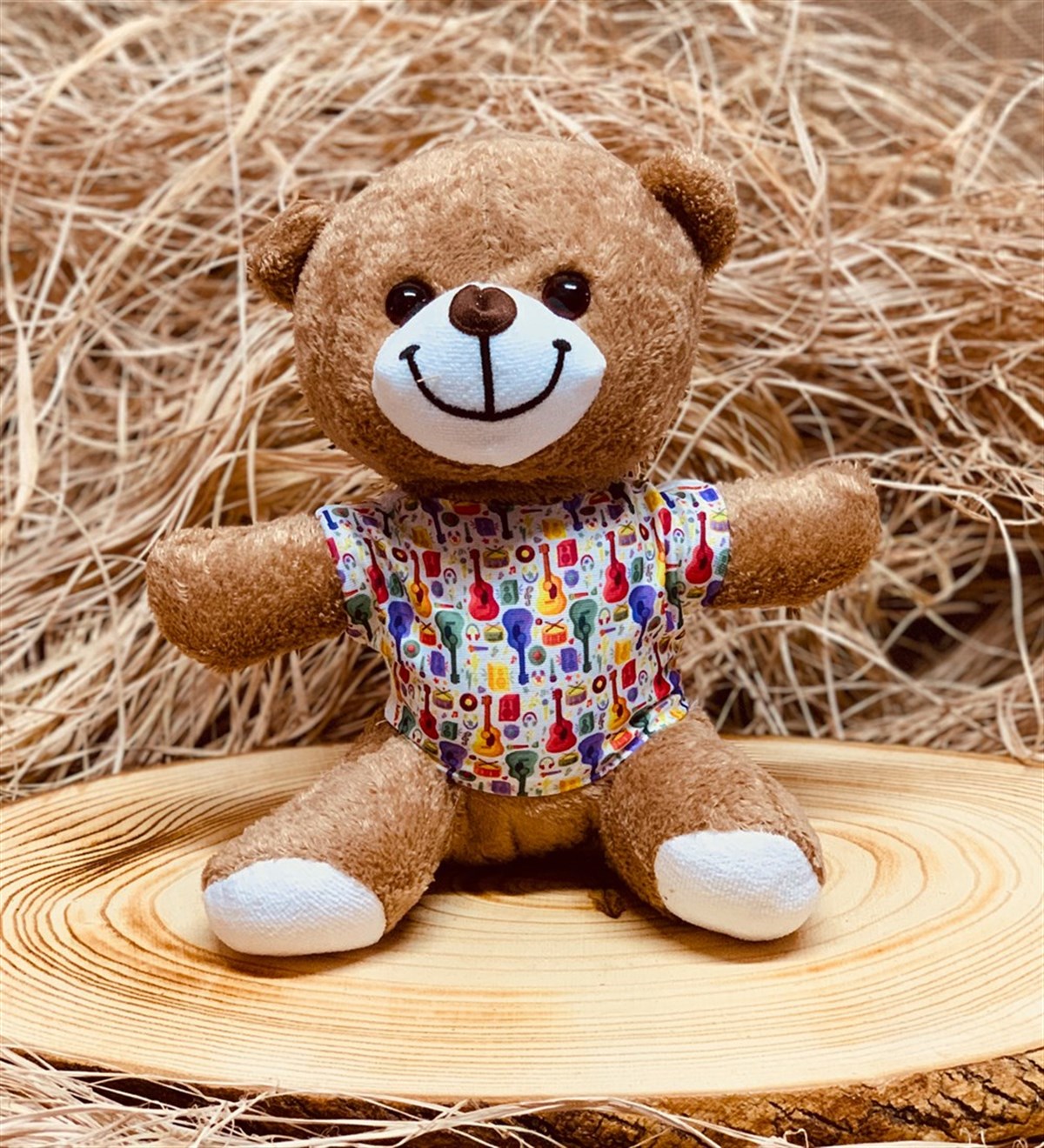 Gitarist Peluş Ayıcık