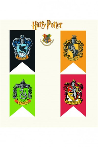 Harry Potter Okul Bayrak Setleri
