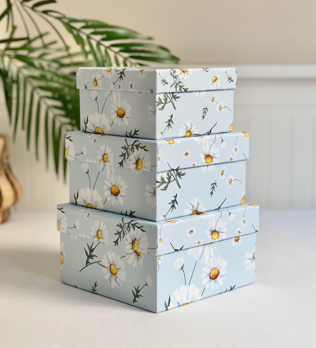 Papatya Tasarımlı 3'lü KutugiftmodaGmhk10025