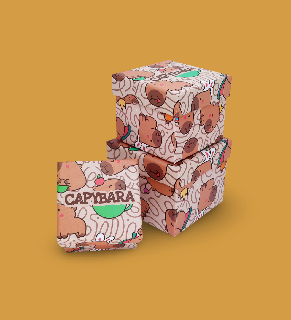 Capybara Desenli 3'lü Hediye, Kutusu Seti | Mini Kutu SetigiftmodaBam-1323	
