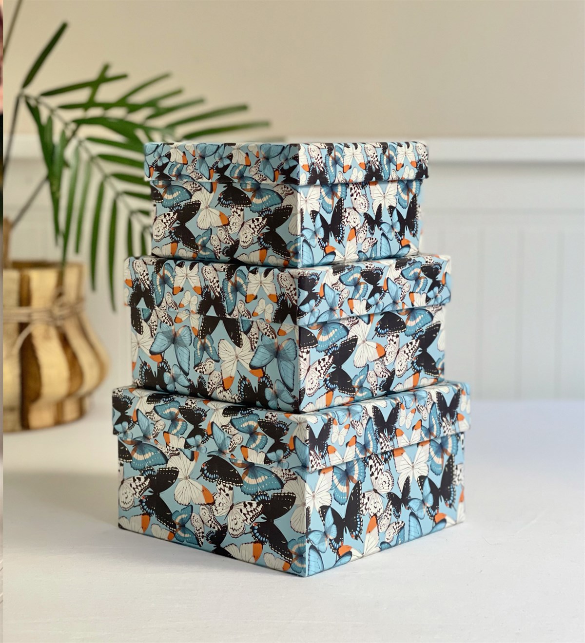 Kelebek Tasarımlı 3'lü KutugiftmodaGmhk10023