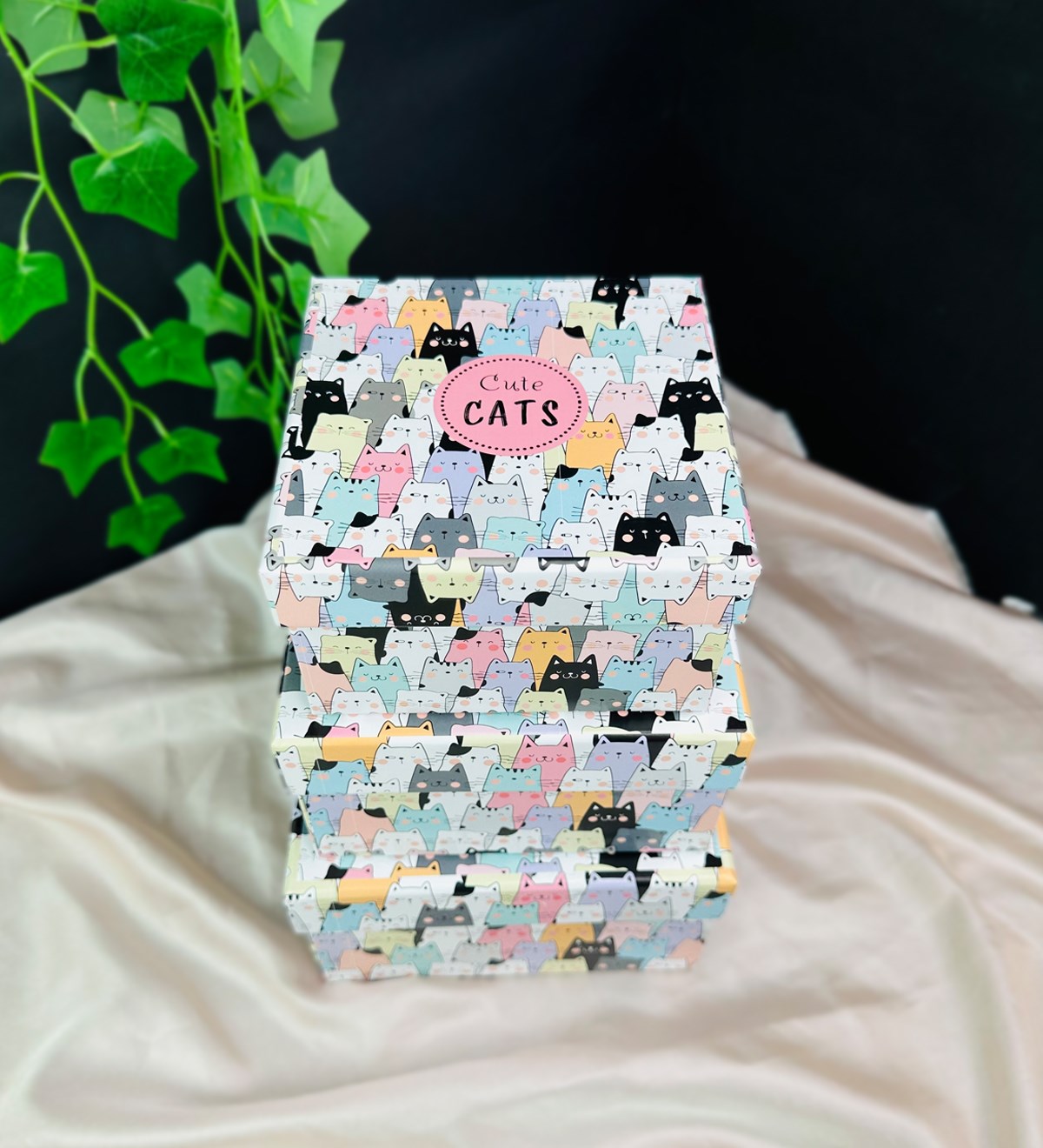 Sevimli Kedi Tasarımlı 3'lü KutugiftmodaGmhk10067