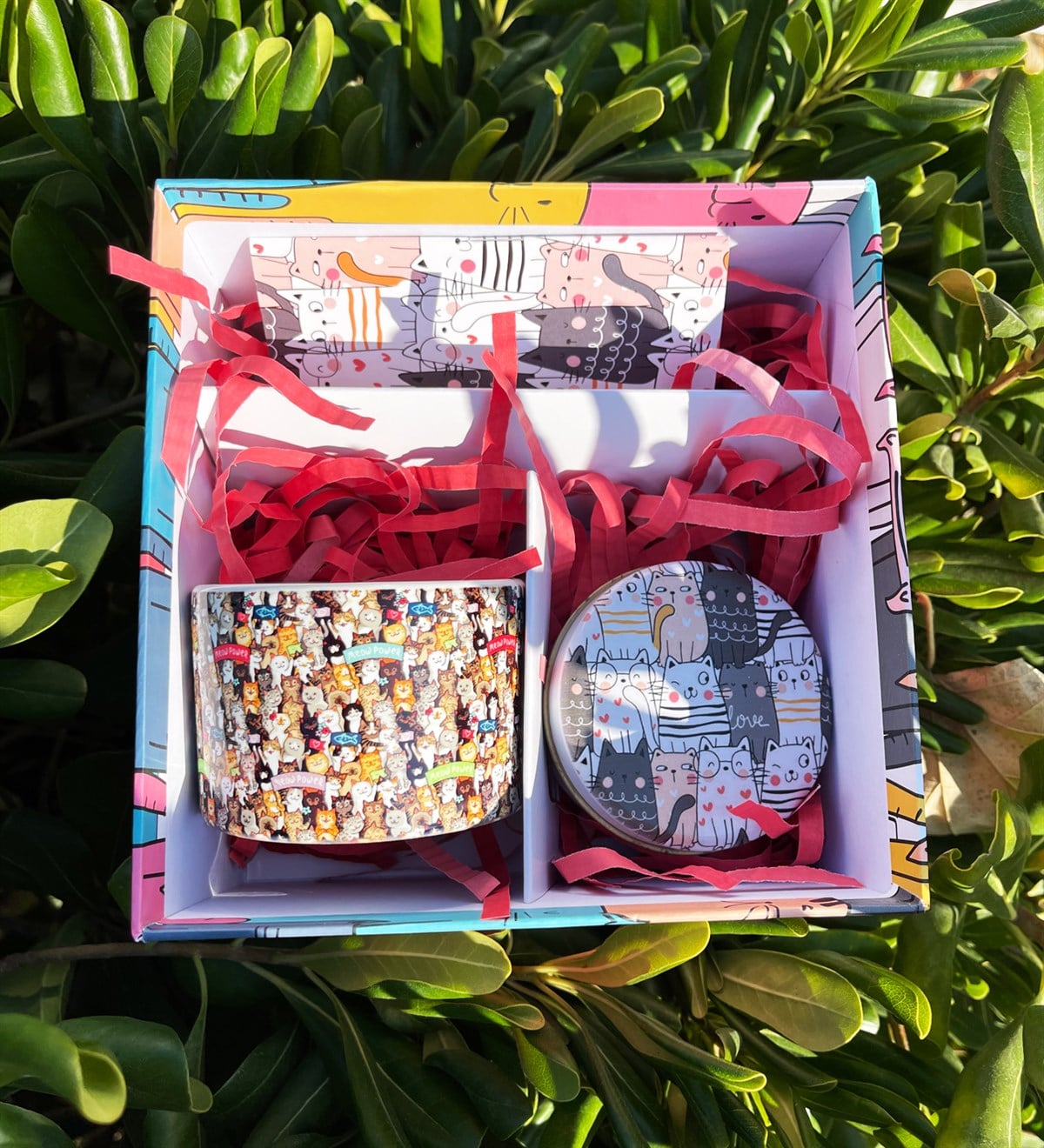 Kedi Tasarımlı Hediye SetigiftmodaGmhs101820