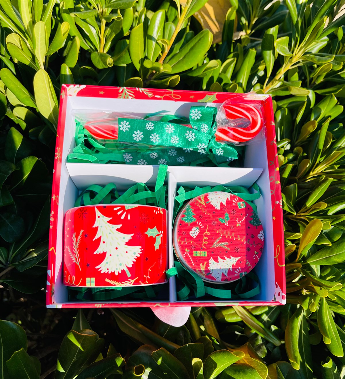Baston Şekerli Yılbaşı Tasarımlı Hediye SetigiftmodaGmhs101833