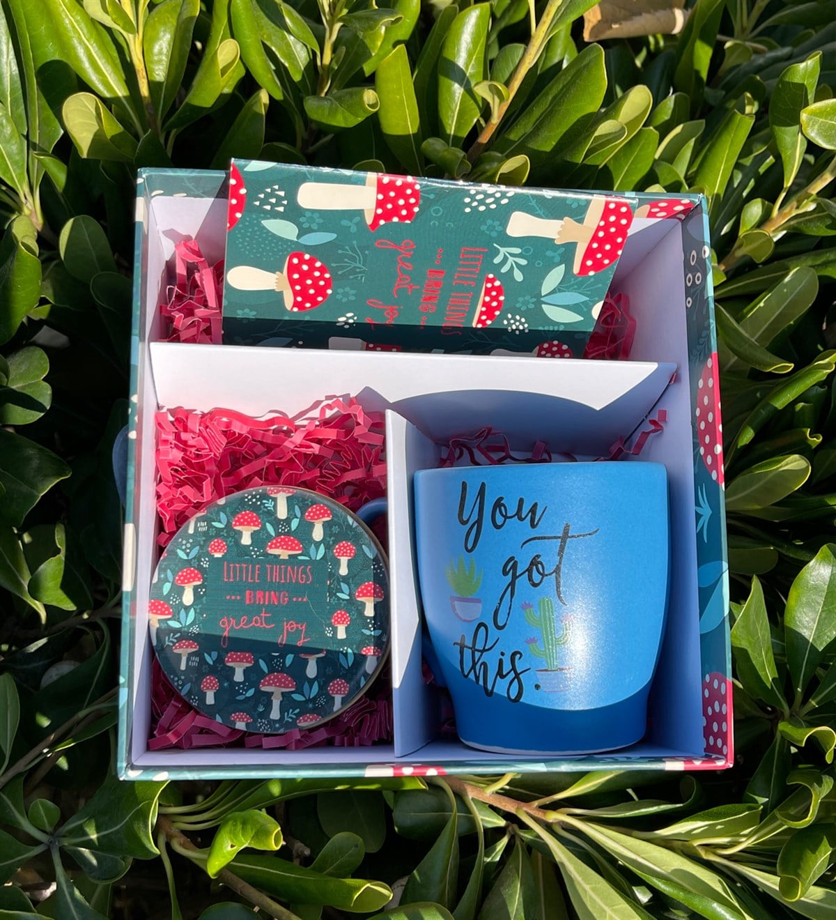 Mantar Motto Tasarımlı Hediye SetigiftmodaGmhs101826