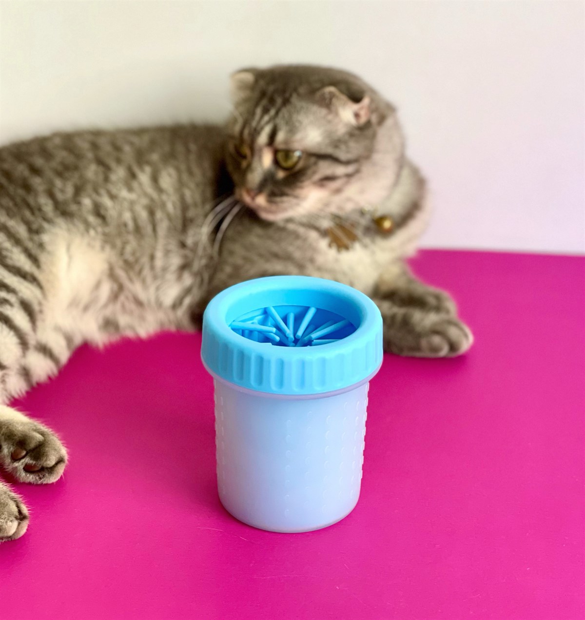 Kedi Ve Köpek Pati Temizleme AparatıGiftmodaGm-4201	