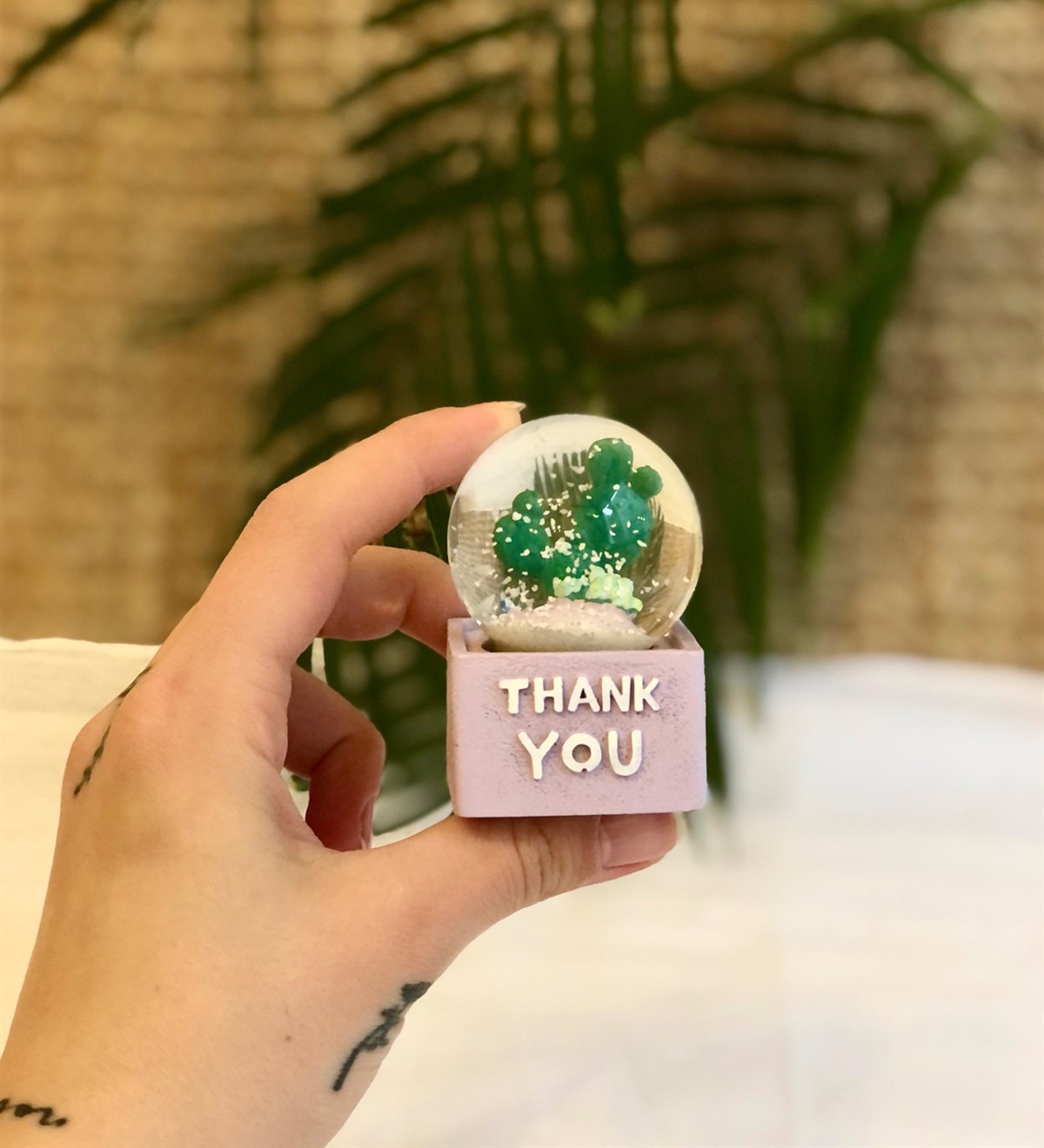 Kaktüs Mini Işıklı Kar KüresiGiftmodaGM-4108