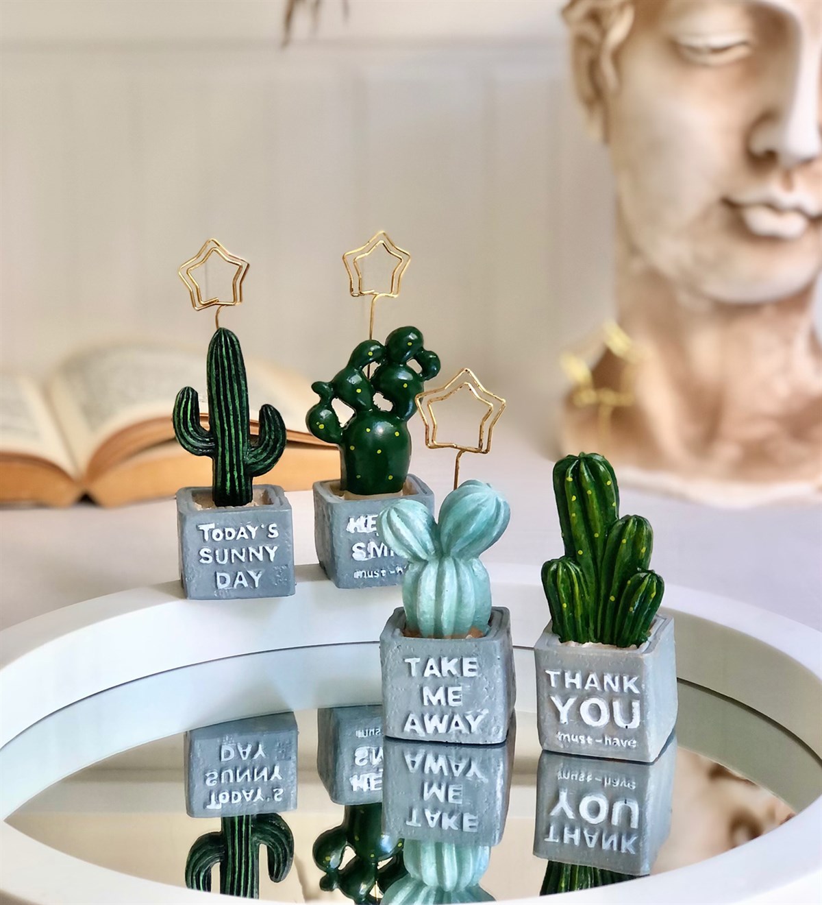 Kaktüs NotlukGiftmodagm-1350