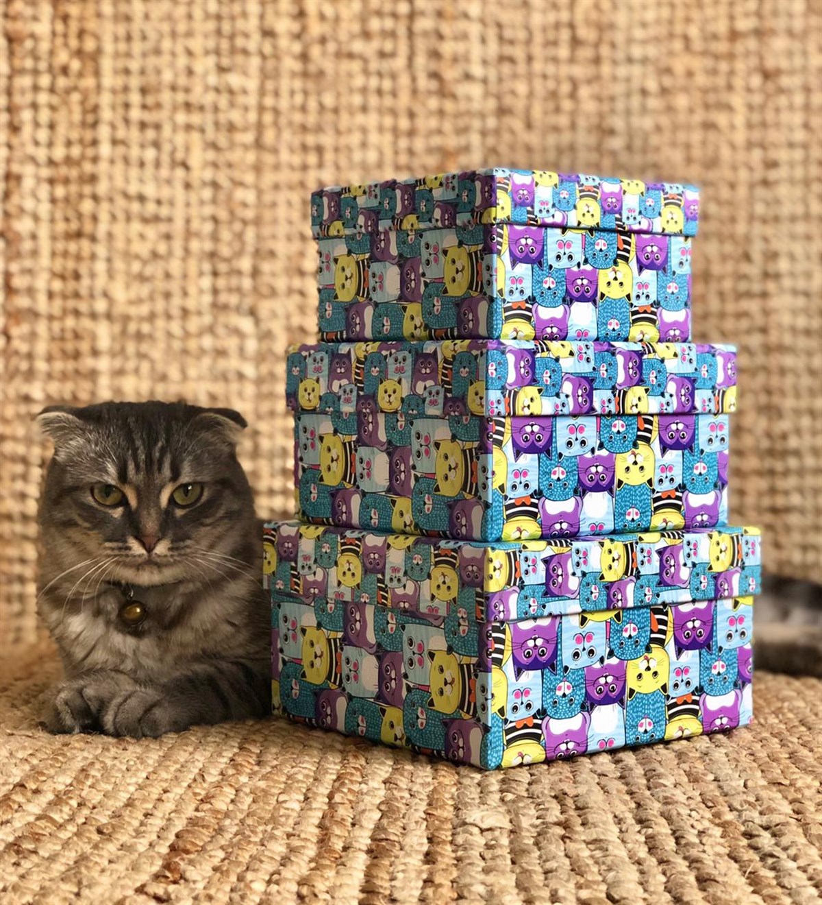 Kedi Tasarımlı 3'lü KutuGiftmodaKedi-Kutu