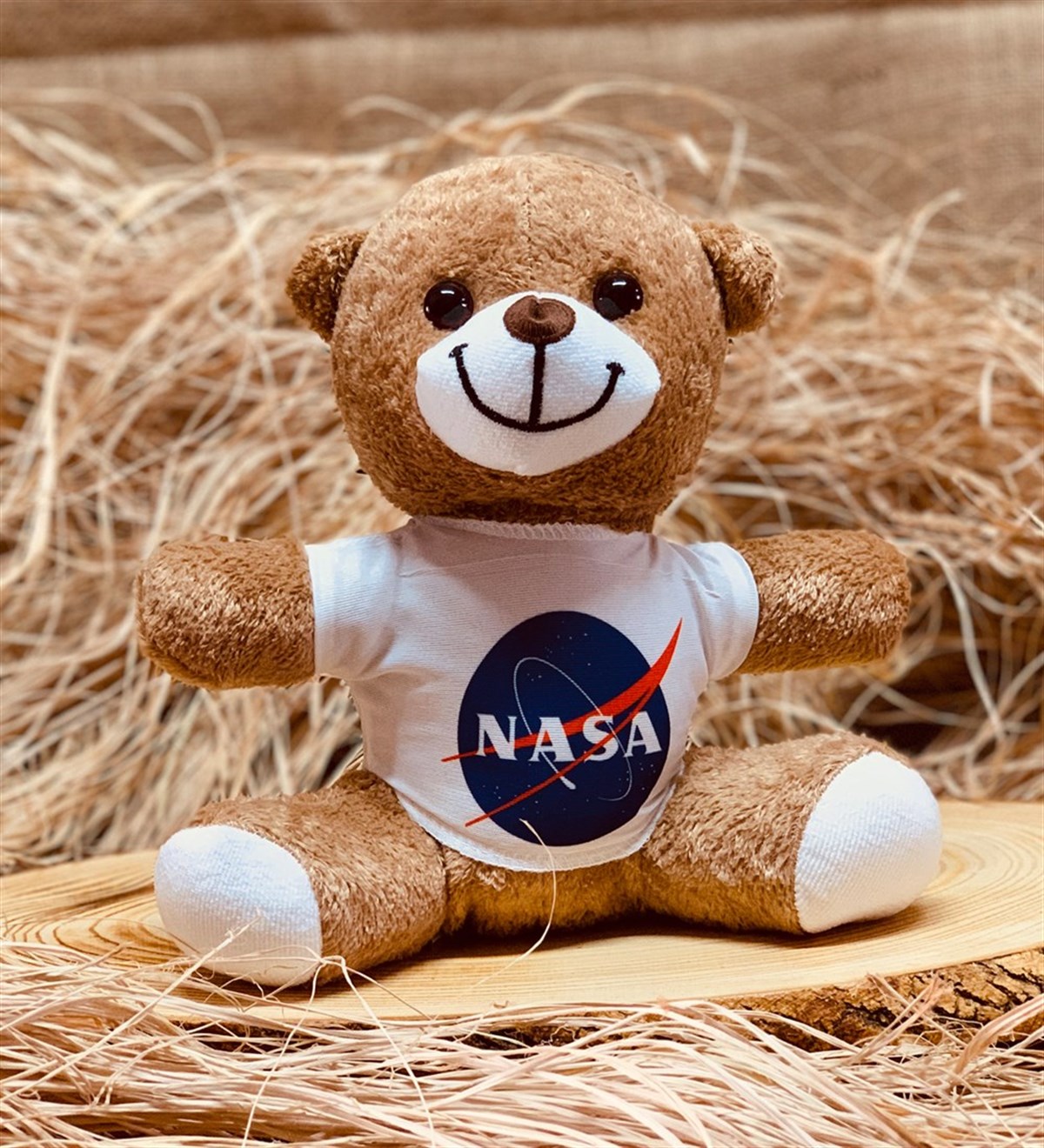 Nasa Peluş Ayıcık Arkadaşa Hediye