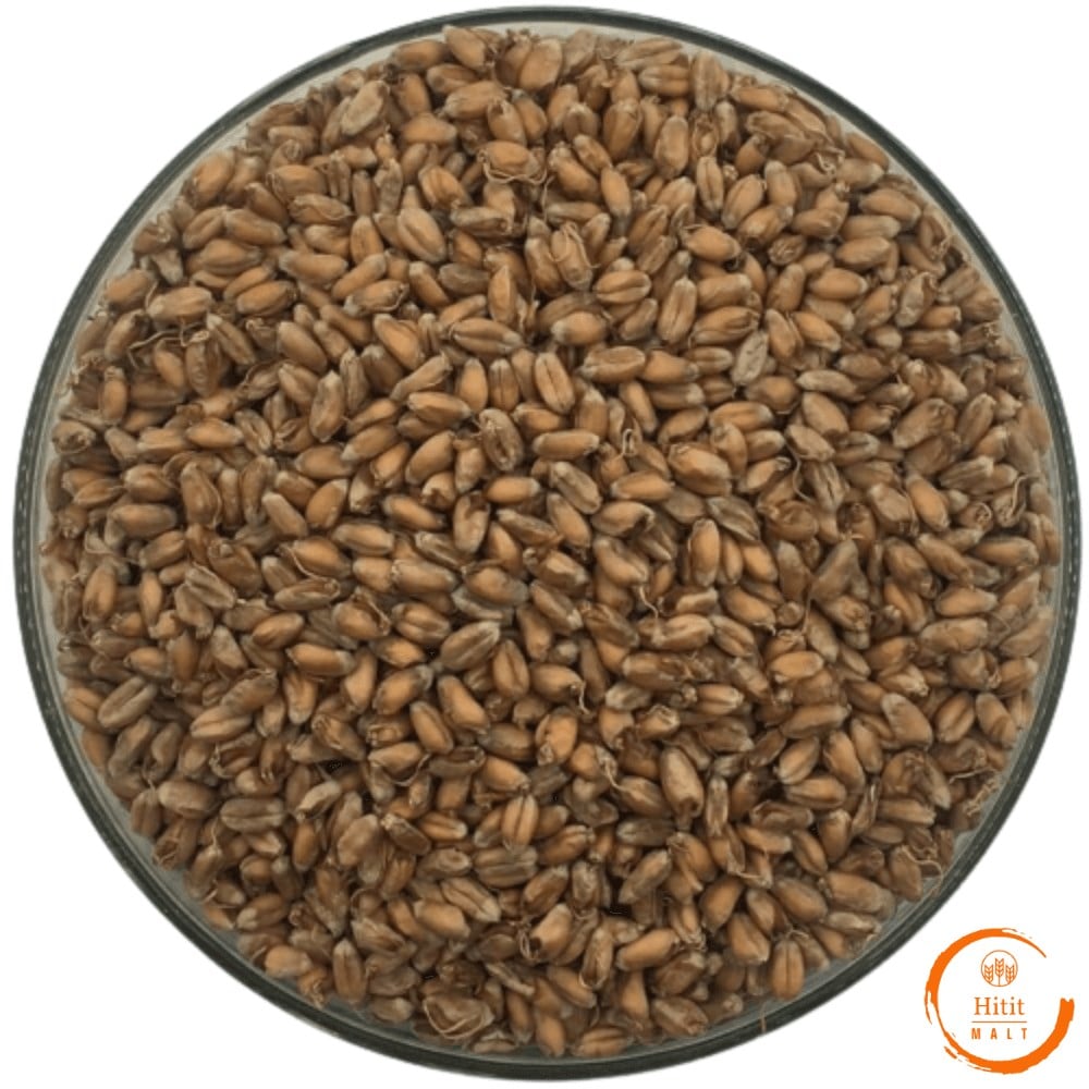 Buğday Maltı 1 Kg