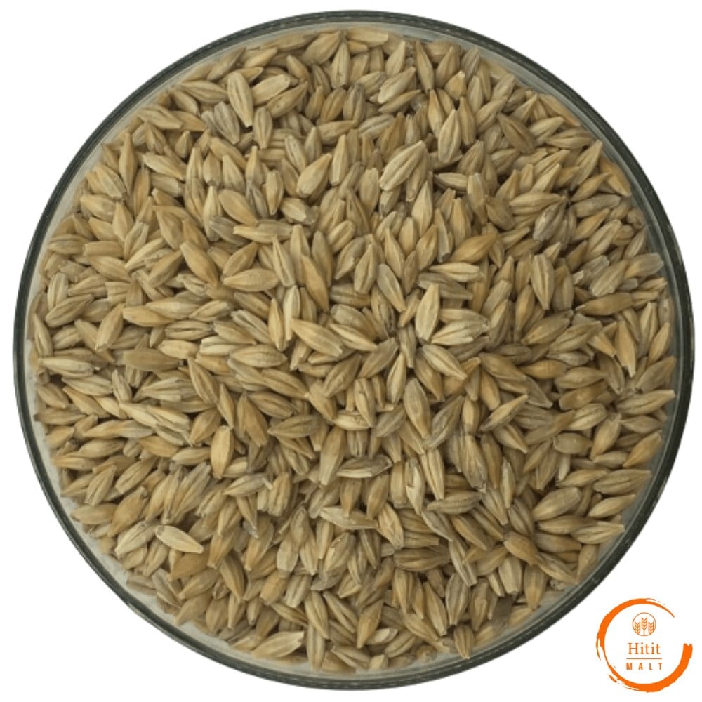 Elenmiş Maltlık Arpa