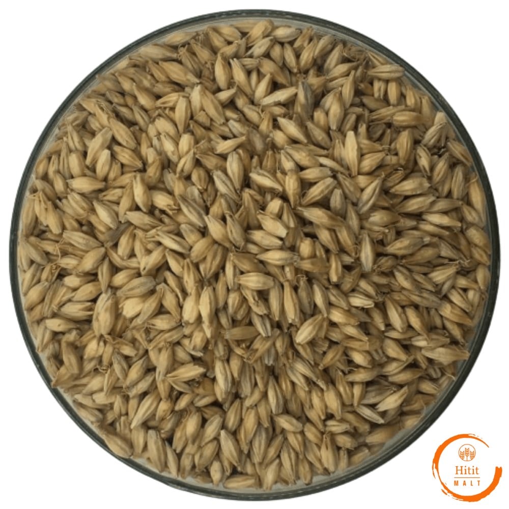 Pale Arpa Maltı