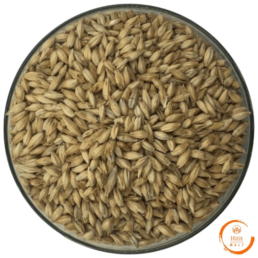 Pilsner Arpa Maltı