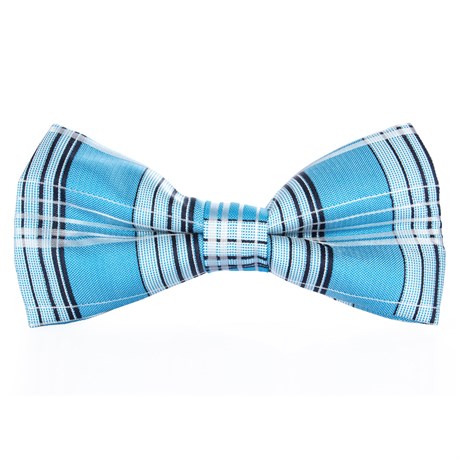 BOW TIE / NEW BOW TIE