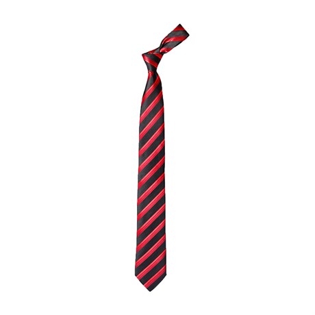 TIE HANDKERCHIEF CLASSIC MICRO / NEW TIE