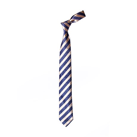 TIE HANDKERCHIEF CLASSIC MICRO / NEW TIE