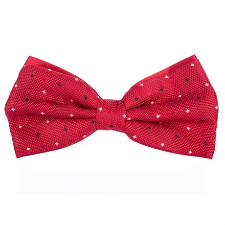 BOW TIE / NEW BOW TIE