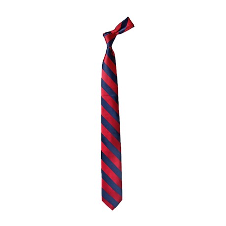 TIE HANDKERCHIEF CLASSIC MICRO / NEW TIE