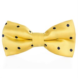 BOW TIE / NEW BOW TIE