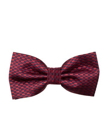 BOW TIE-Y   PAPYON BOW TIE