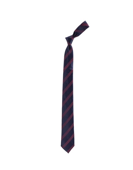 TIE HANDKERCHIEF CLASSIC MICRO-Y   KRAVAT TIE