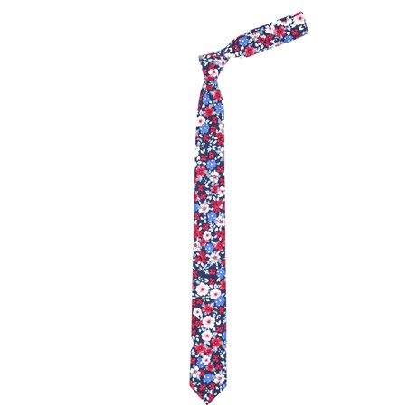 TIE PRINTED TIE