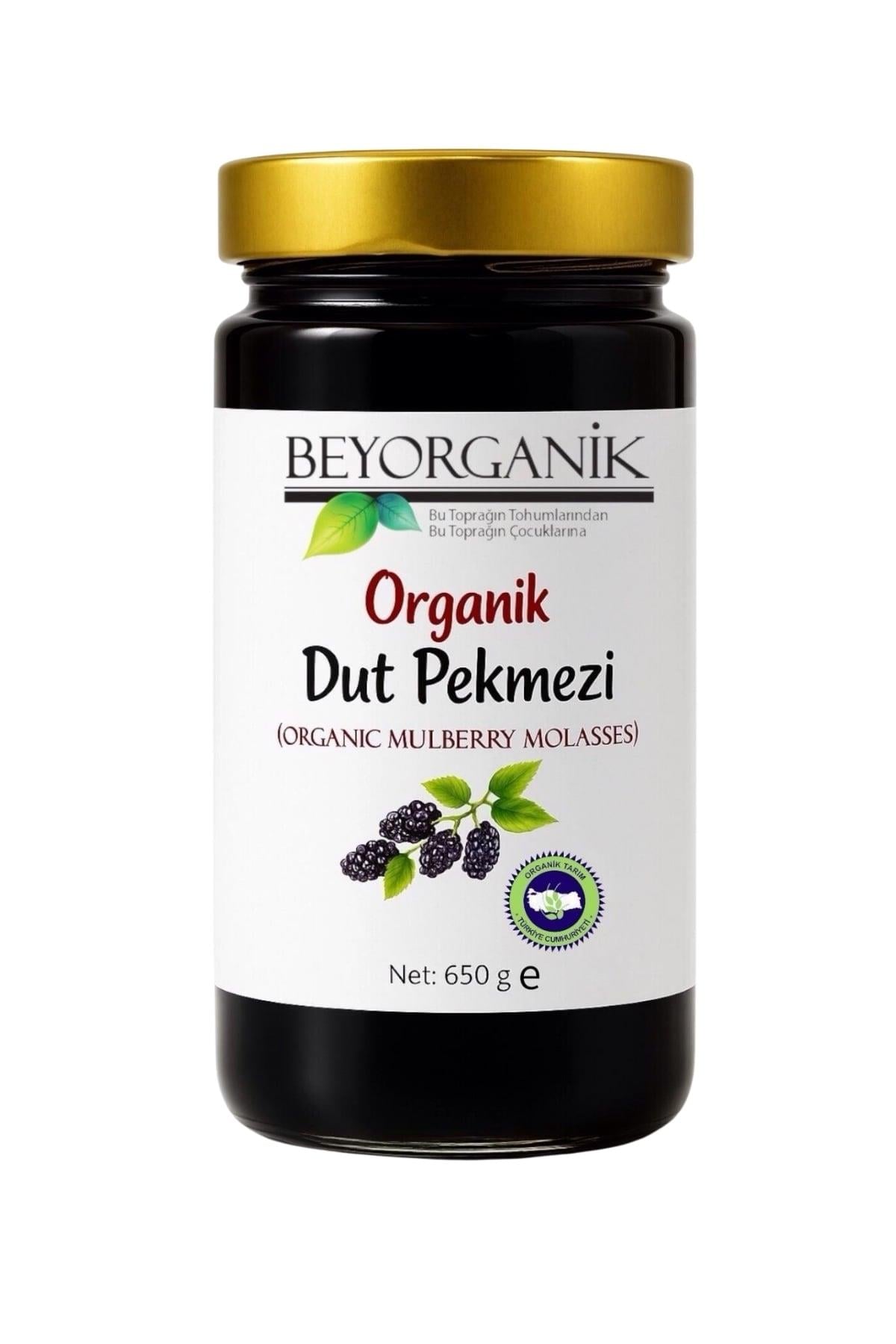 Organik Dut Pekmezi 650 G