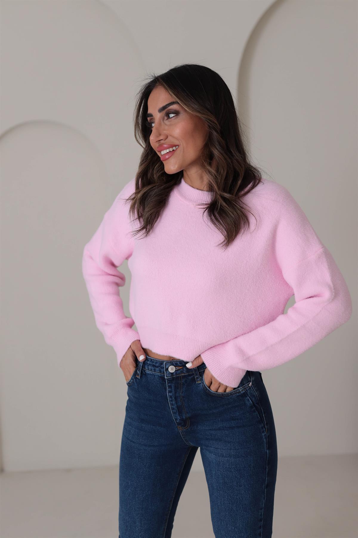 0276 Bisiklet Yaka Yumoş Triko PUDRA