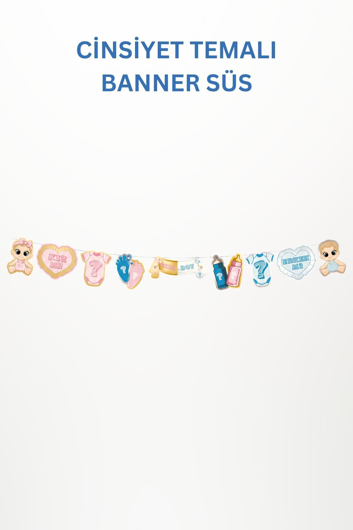 Cinsiyet Temalı Dekor Banner Süs – Kız mı Erkek mi? Baby Shower Gender Reveal Parti Süsü