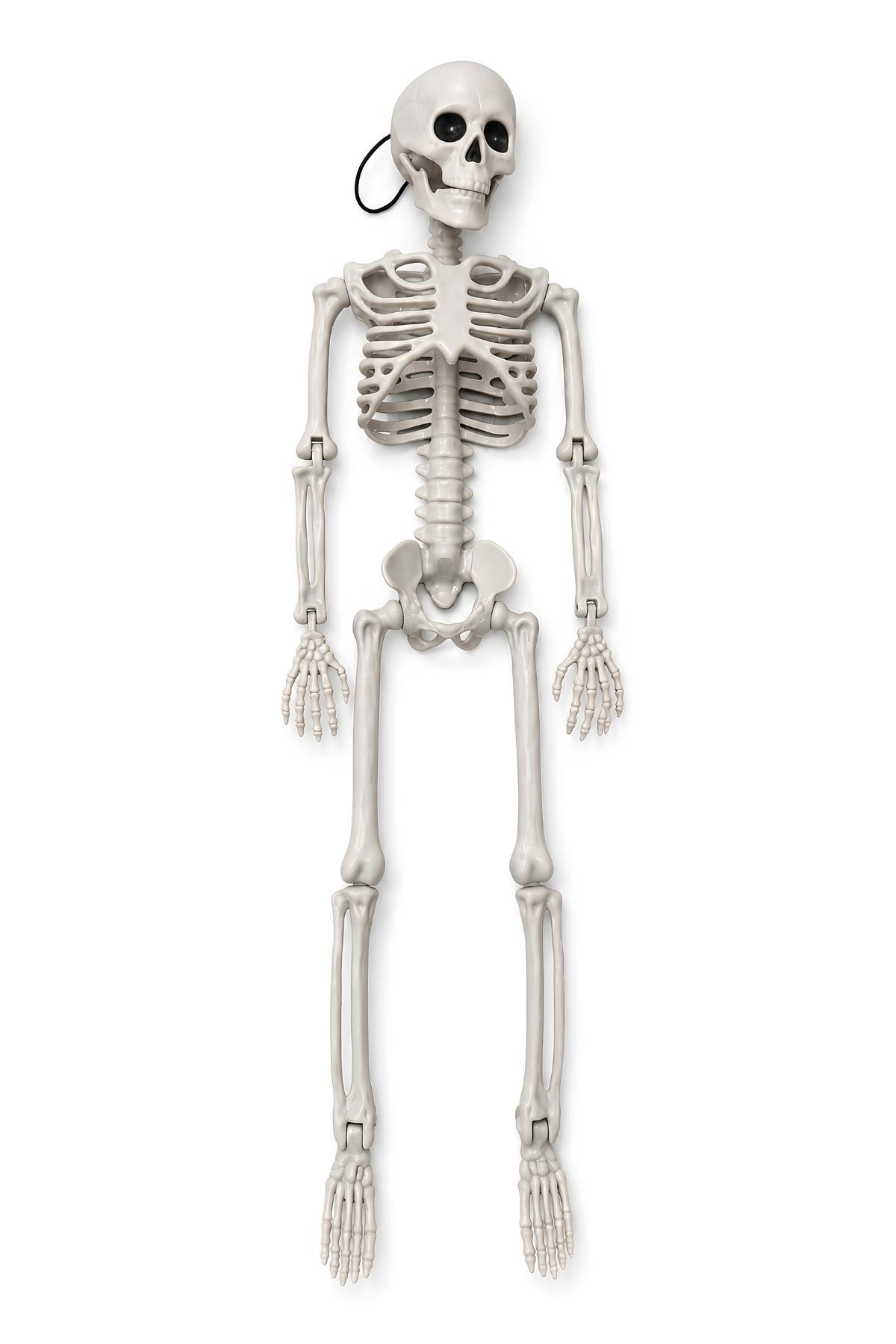 Halloween Cadılar Bayramı 60 Cm Asılabilir İskelet Dekor Süsü – Kuru Kafa Halloween Süsü