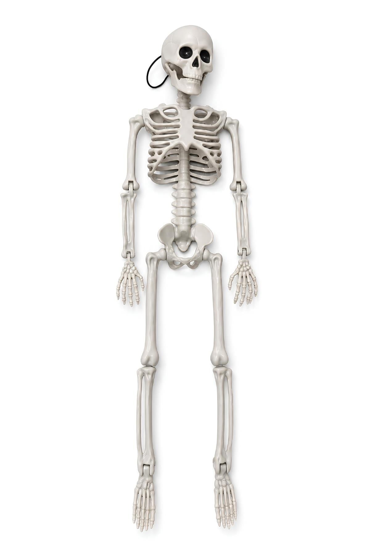 Halloween Cadılar Bayramı 60 Cm Asılabilir İskelet Dekor Süsü – Kuru Kafa Halloween Süsü