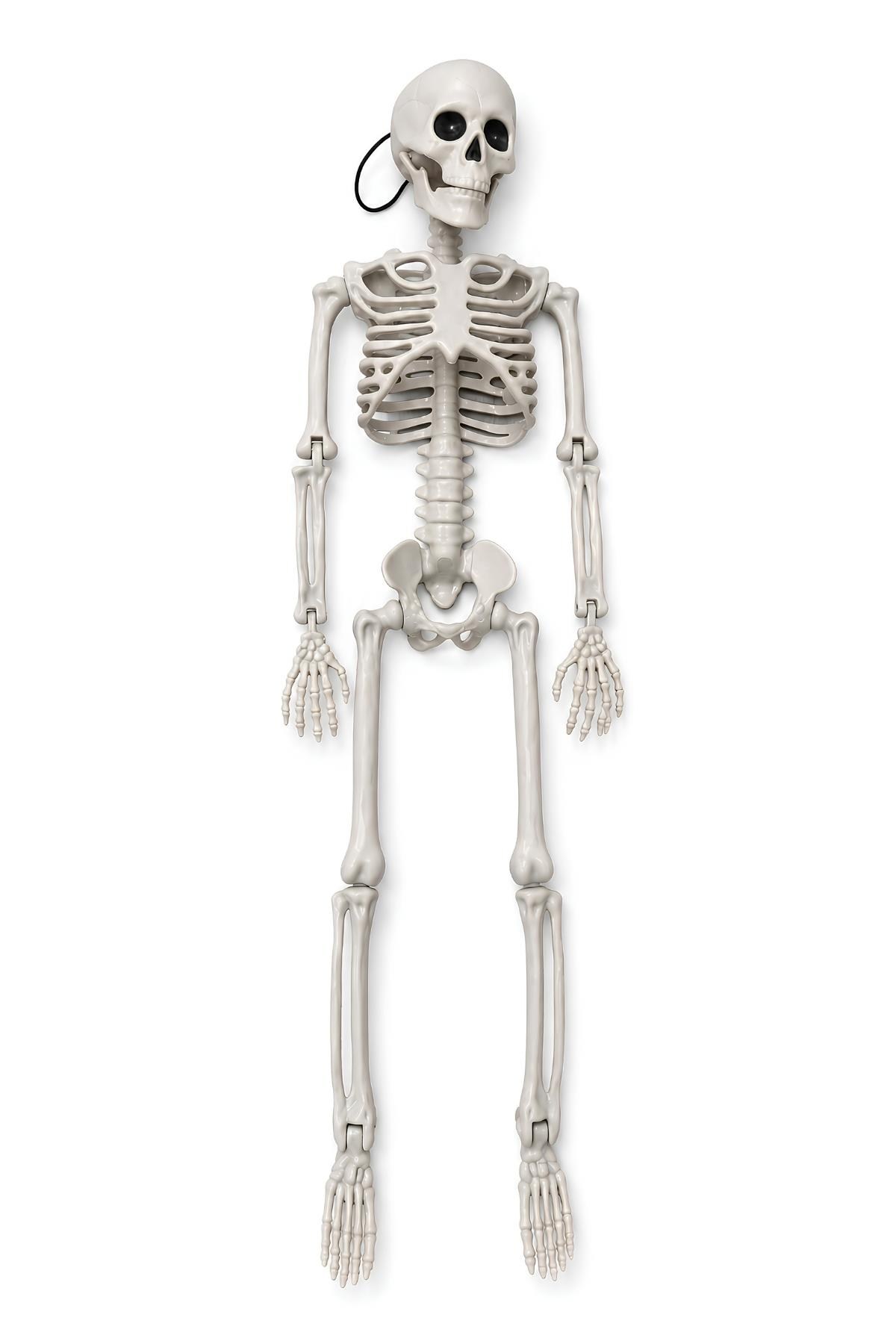 Halloween Cadılar Bayramı 90 Cm Asılabilir İskelet Dekor Süsü – Hareketli Kuru Kafa İskelet