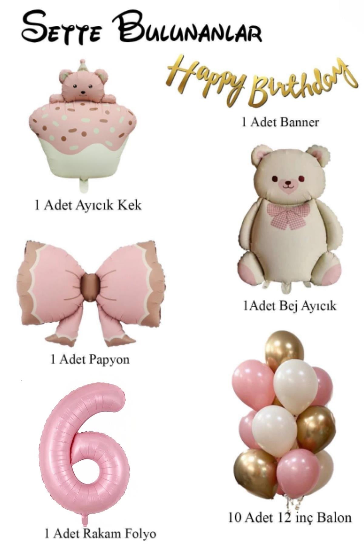 Retro 6 Yaş Ayıcık Temalı  Kız Bebek Konsept Doğum Günü Seti