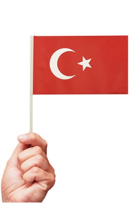 10 Adet Çubuklu Kağıt Türk Bayrağı Çıtalı Sopalı Saplı Ay Yıldız Baskılı Bayrak 20x12 Cm 