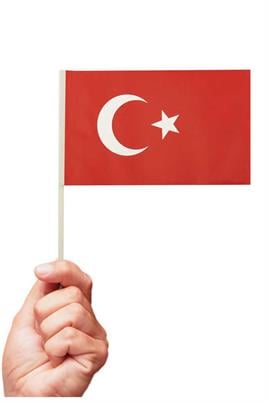 10 Adet Çubuklu Kağıt Türk Bayrağı Çıtalı Sopalı Saplı Ay Yıldız Baskılı Bayrak 20x12 Cm 