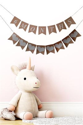 6 Months Yarım Yaş Kraft Retro Banner Ve Kalp Banner Süs  2Li Set